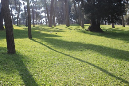 passidiprimavera0308201303